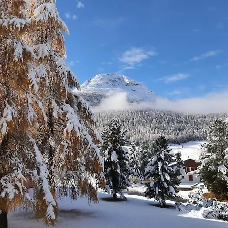 Chesa Azalea 3 Klein By Interhome Appartamento Pontresina