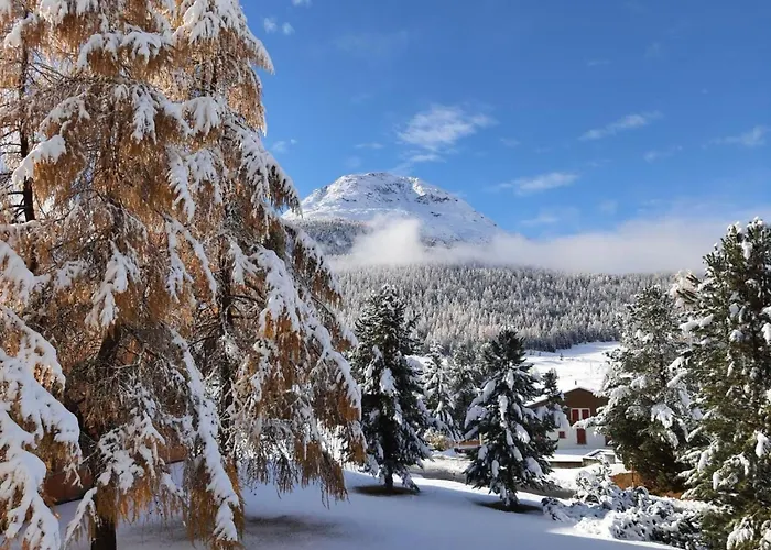 Chesa Azalea 3 Klein By Interhome דירה פונטרסינה